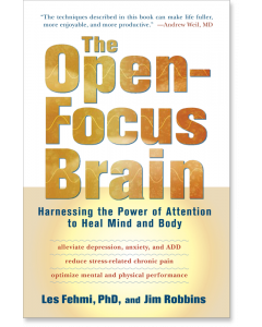 The Open-Focus Brain