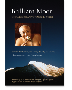 Brilliant Moon