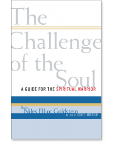 The Challenge of the Soul