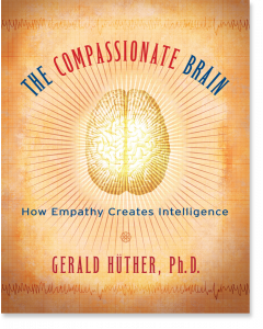 The Compassionate Brain