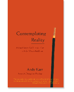 Contemplating Reality