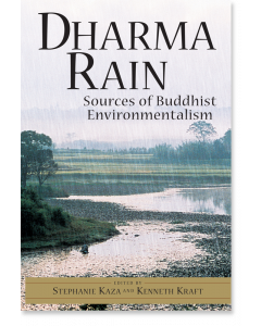 Dharma Rain