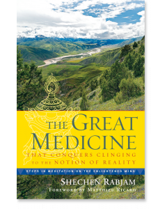 The Great Medicine That Conquers Clinging to the Notion of Reality