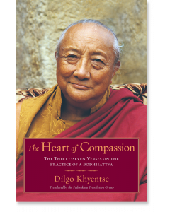 The Heart of Compassion