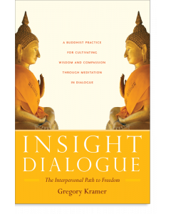 Insight Dialogue