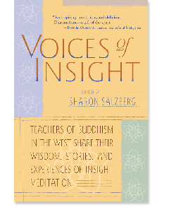 Voices of Insight