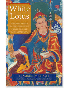 White Lotus