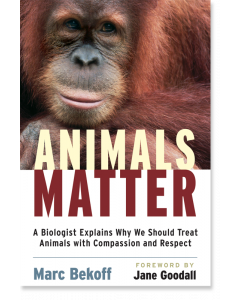 Animals Matter