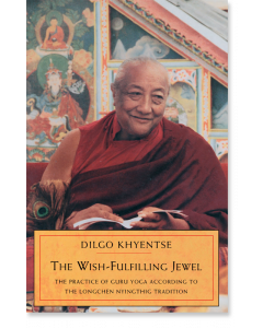 The Wish-Fulfilling Jewel