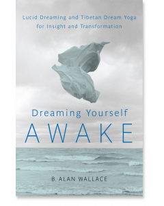 Dreaming Yourself Awake