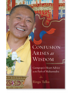 Confusion Arises as Wisdom