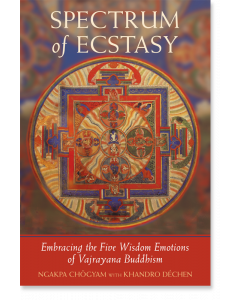 Spectrum of Ecstasy