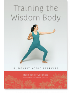 Training the Wisdom Body