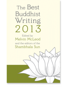 The Best Buddhist Writing 2013