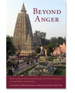 Beyond Anger