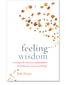 Feeling Wisdom