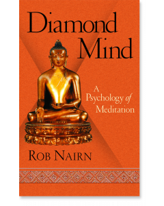 Diamond Mind