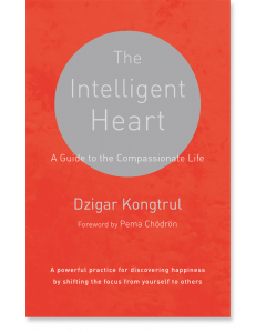 The Intelligent Heart