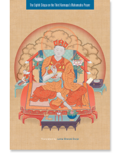 The Eighth Situpa on the Third Karmapa's Mahamudra Prayer