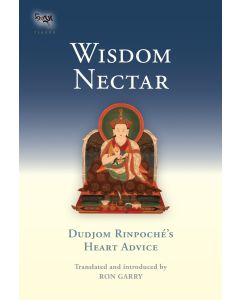 Wisdom Nectar cover