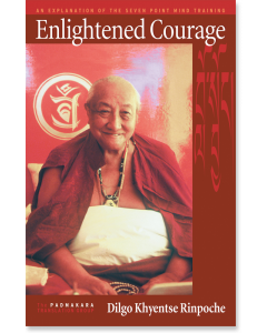 Enlightened Courage