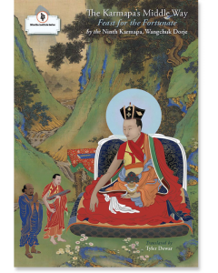 The Karmapa's Middle Way