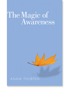 The Magic of Awareness