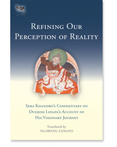 Refining Our Perception of Reality