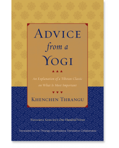 Advice from a Yogi