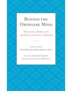 Beyond the Ordinary Mind