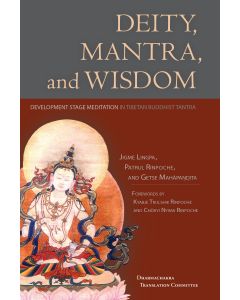 Deity, Mantra, and Wisdom