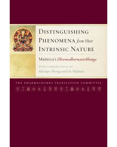 Distinguishing Phenomena from Their Intrinsic Nature 