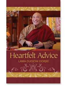 Heartfelt Advice