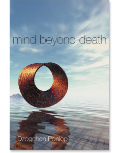 Mind Beyond Death