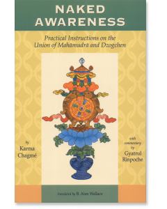 Naked Awareness