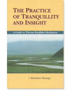 The Practice of Tranquillity and Insight