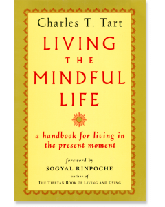 Living the Mindful Life