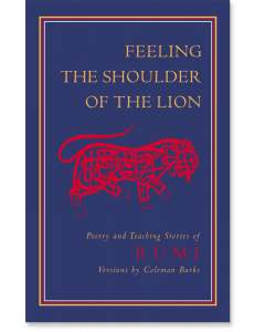 Feeling the Shoulder of the Lion