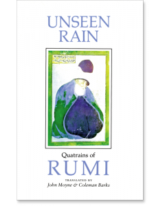 Unseen Rain