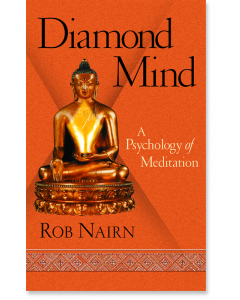 Diamond Mind