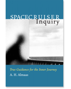 Spacecruiser Inquiry