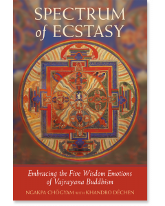 Spectrum of Ecstasy