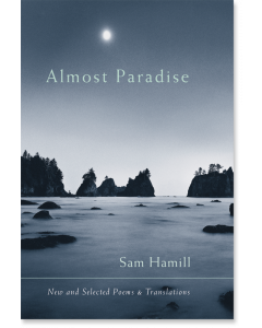 Almost Paradise