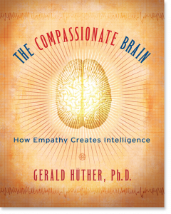 The Compassionate Brain
