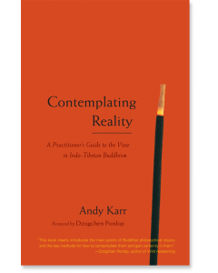 Contemplating Reality
