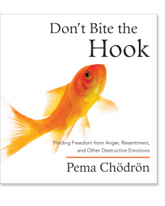 Don't Bite the Hook