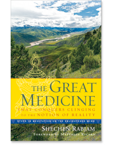 The Great Medicine That Conquers Clinging to the Notion of Reality