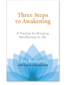 Three Steps to Awakening