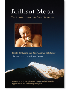 Brilliant Moon