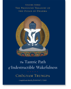 The Tantric Path of Indestructible Wakefulness (volume 3)